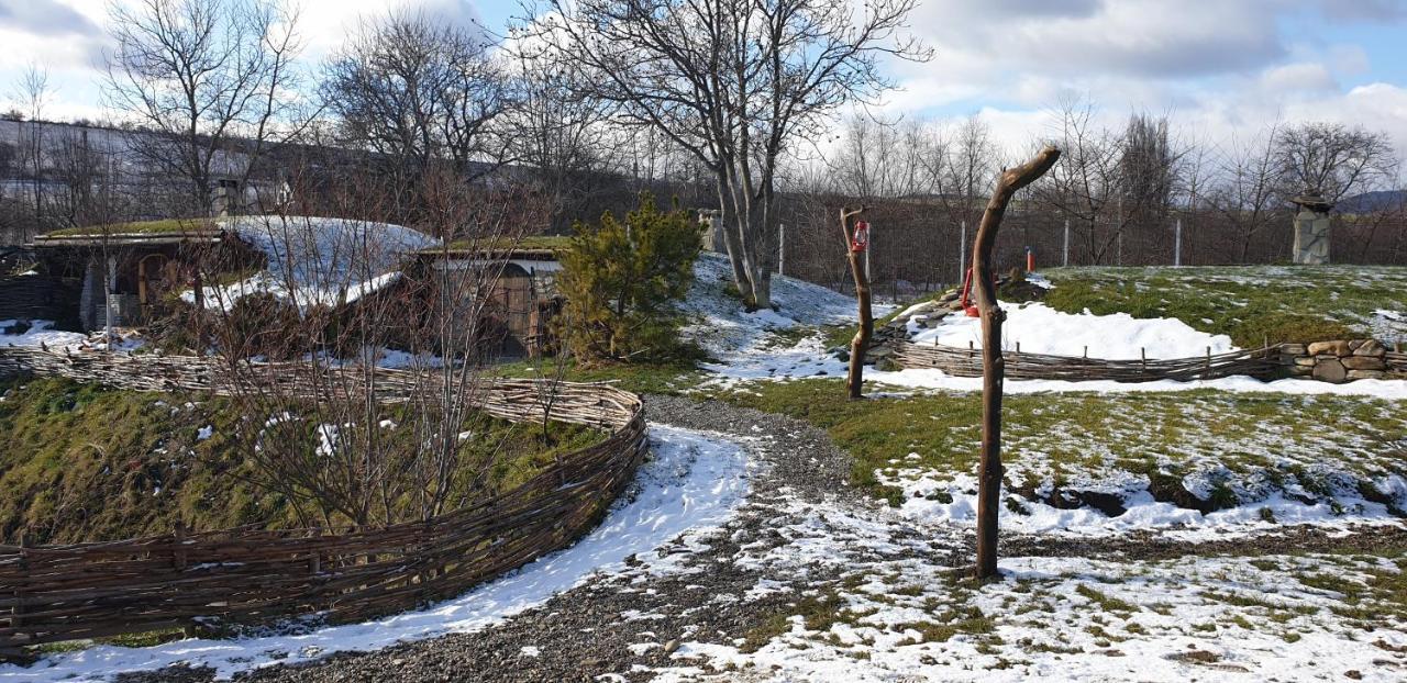 Hotel Valea Celor Doisprezece Piriu Dobreni Exterior foto