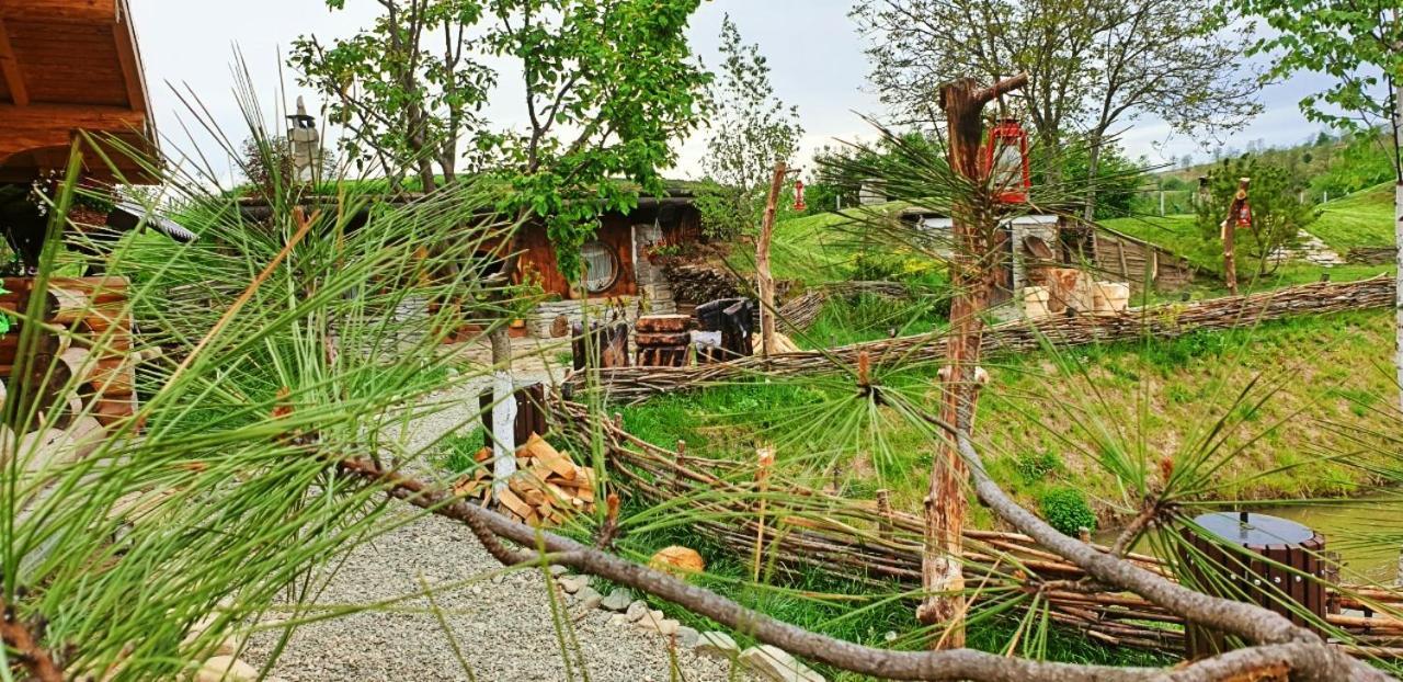 Hotel Valea Celor Doisprezece Piriu Dobreni Exterior foto