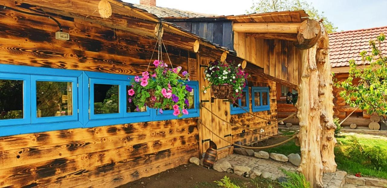 Hotel Valea Celor Doisprezece Piriu Dobreni Exterior foto